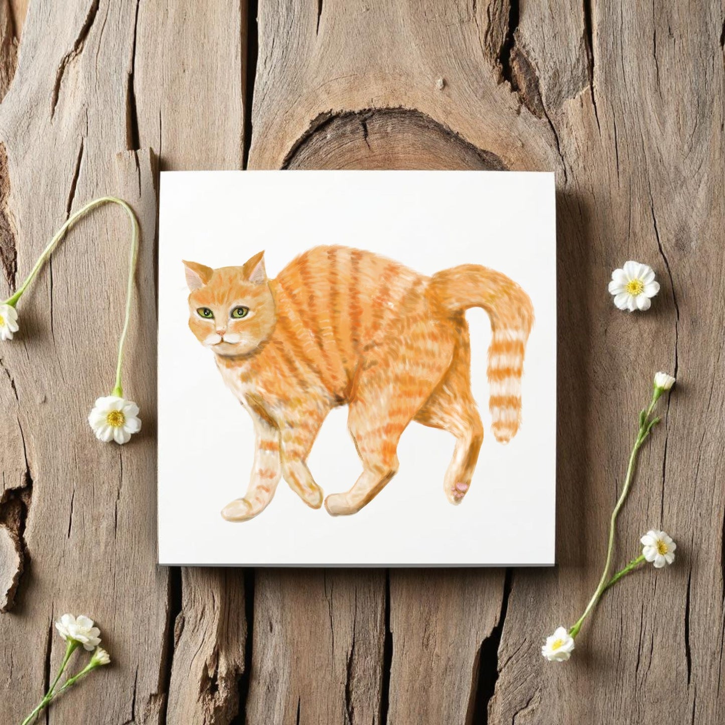 Orange Tabby Cat Ceramic Tile - MerikaArt
