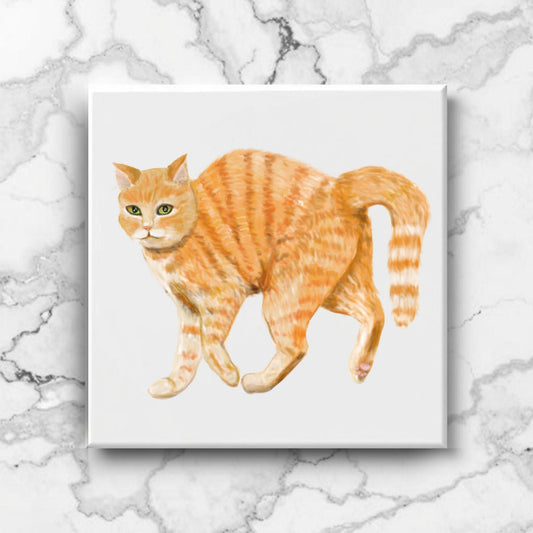Orange Tabby Cat Ceramic Tile - MerikaArt