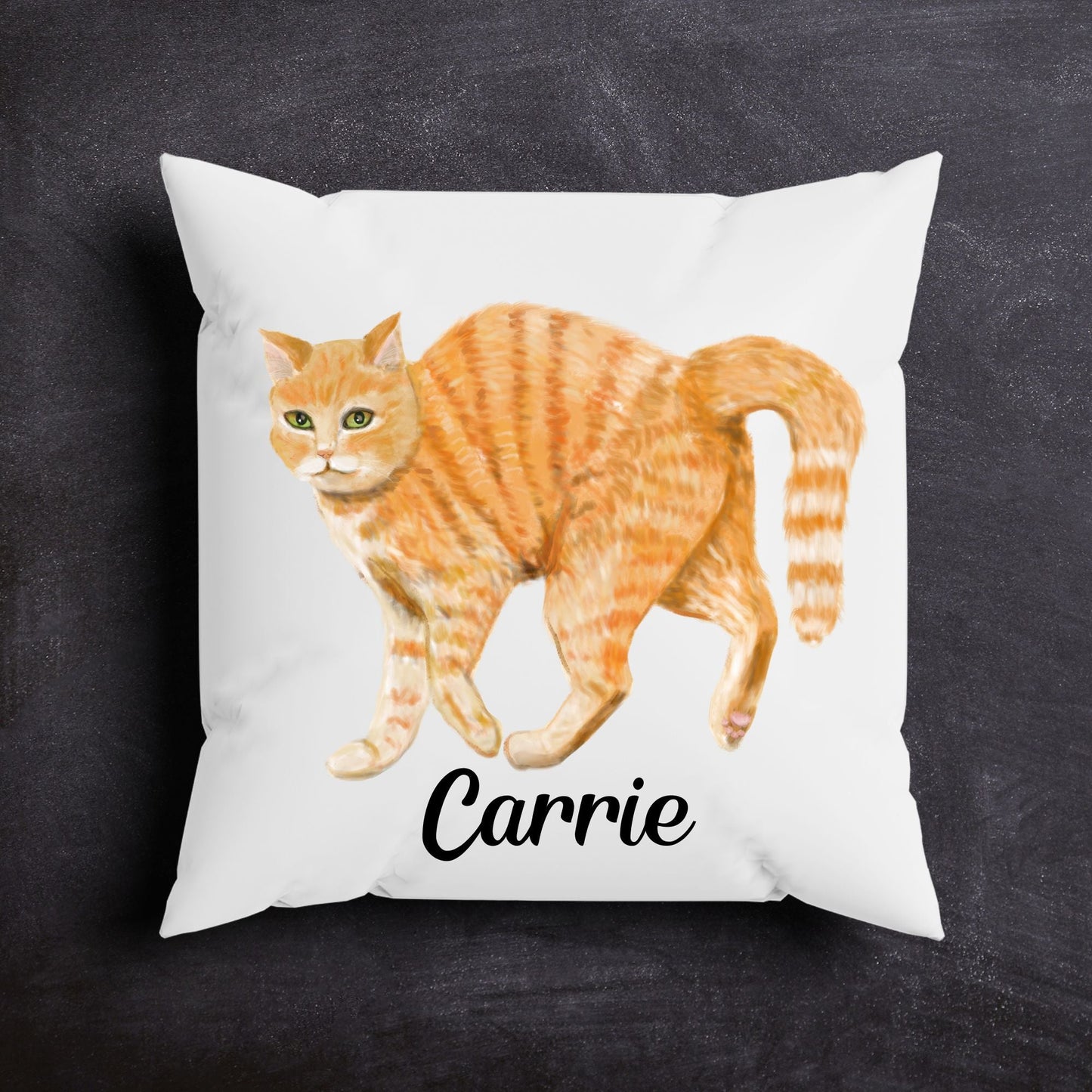 Orange Tabby Cat Pillow - MerikaArt