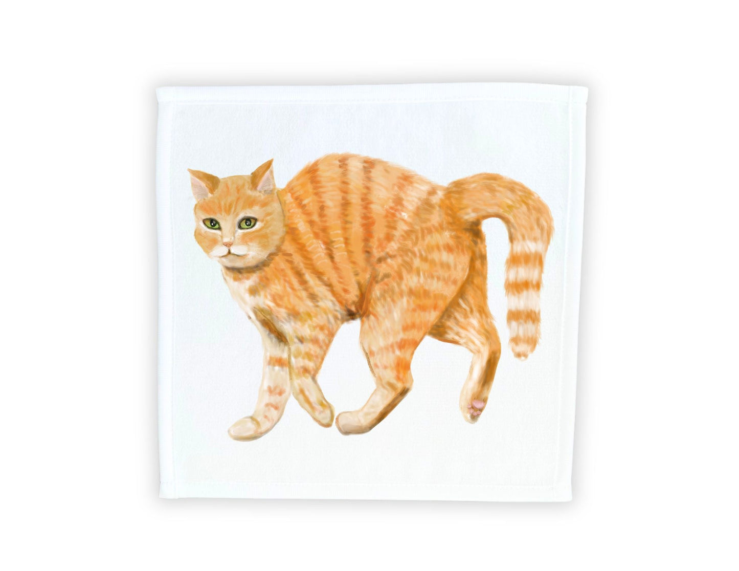Orange Tabby Cat Washcloth - MerikaArt