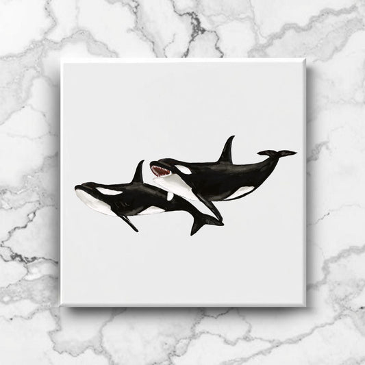 Orca Pair Ceramic Tile – Handcrafted Killer Whale Art - MerikaArt