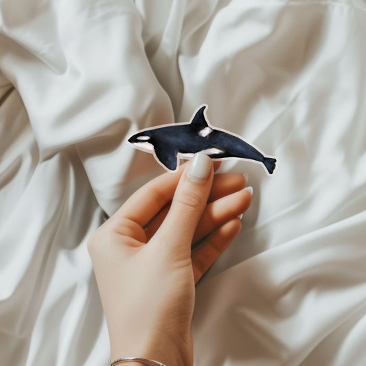 Orca Vinyl Sticker - MerikaArt