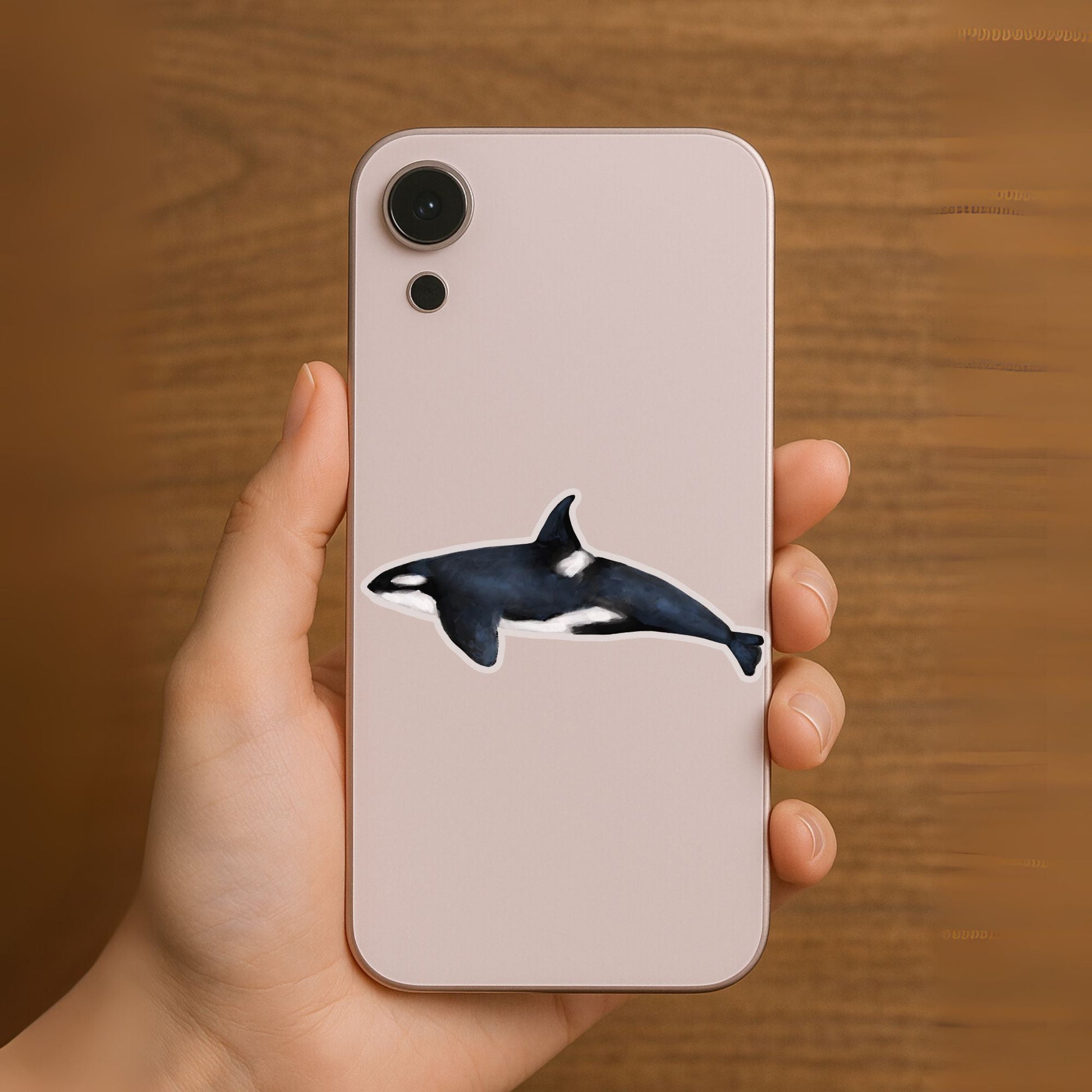 Orca Vinyl Sticker - MerikaArt