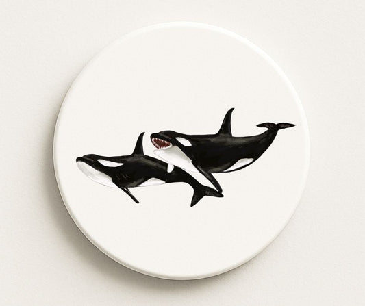 Orca Whale Ceramic Coaster - MerikaArt