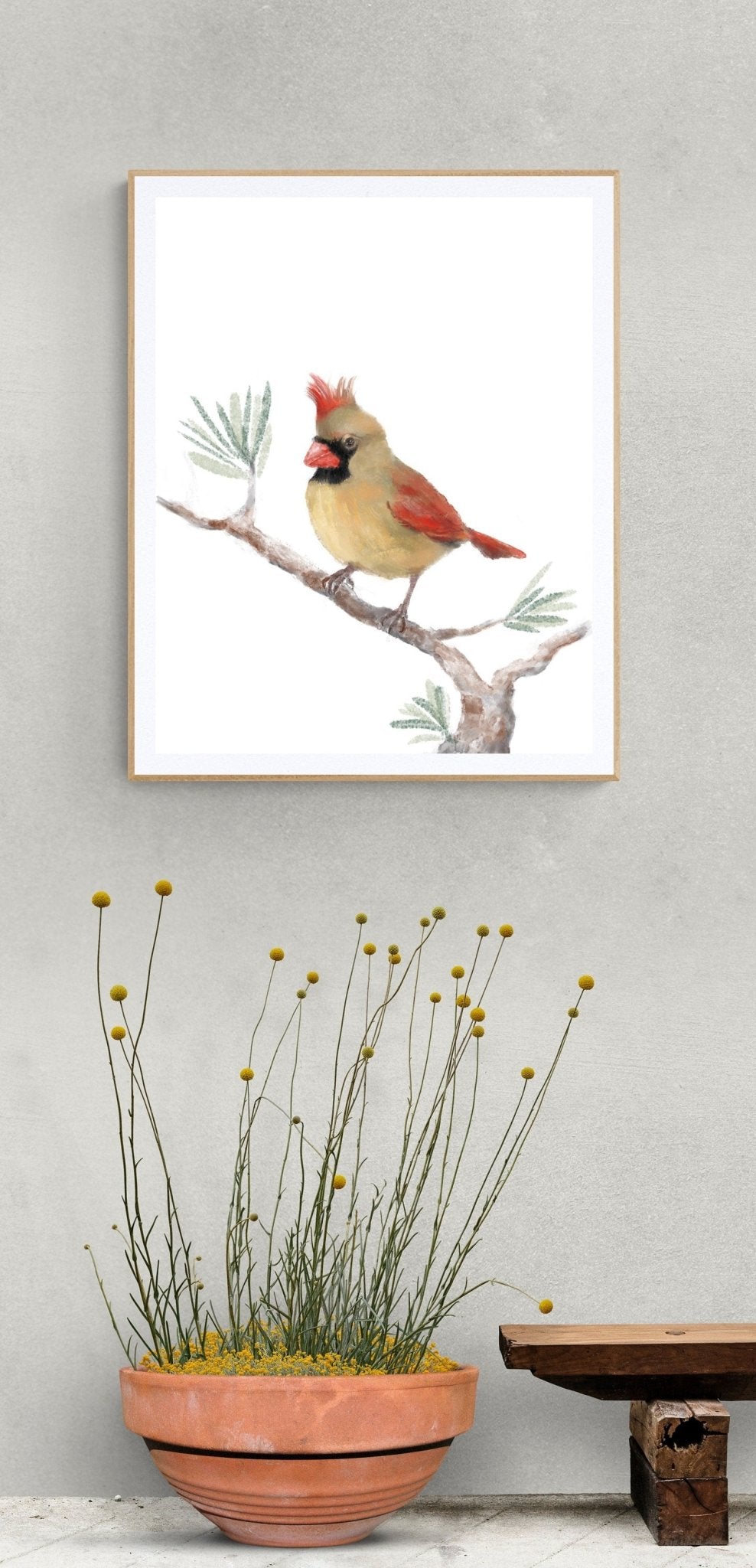 Original Female Northern Cardinal Print - MerikaArt