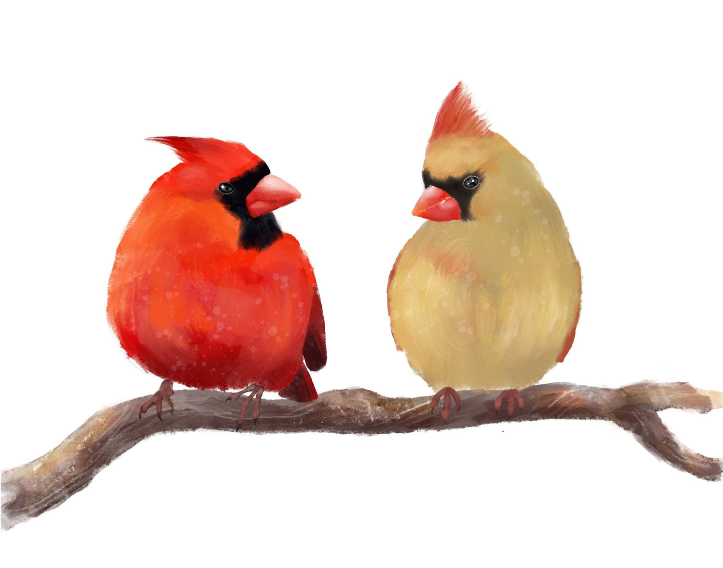 Original Northern Cardinal Couple Print - MerikaArt