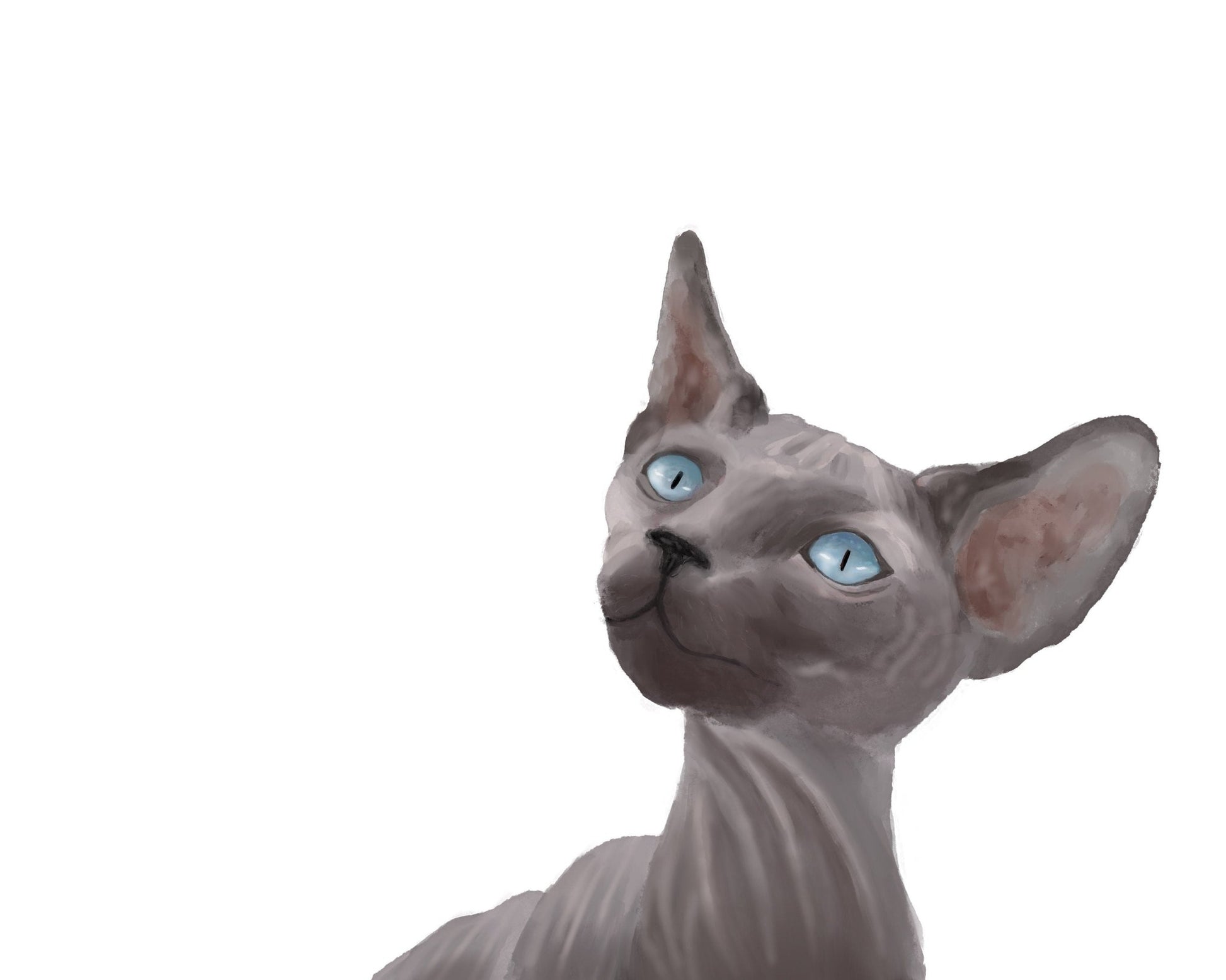 Original Sphynx Cat Art Print - MerikaArt