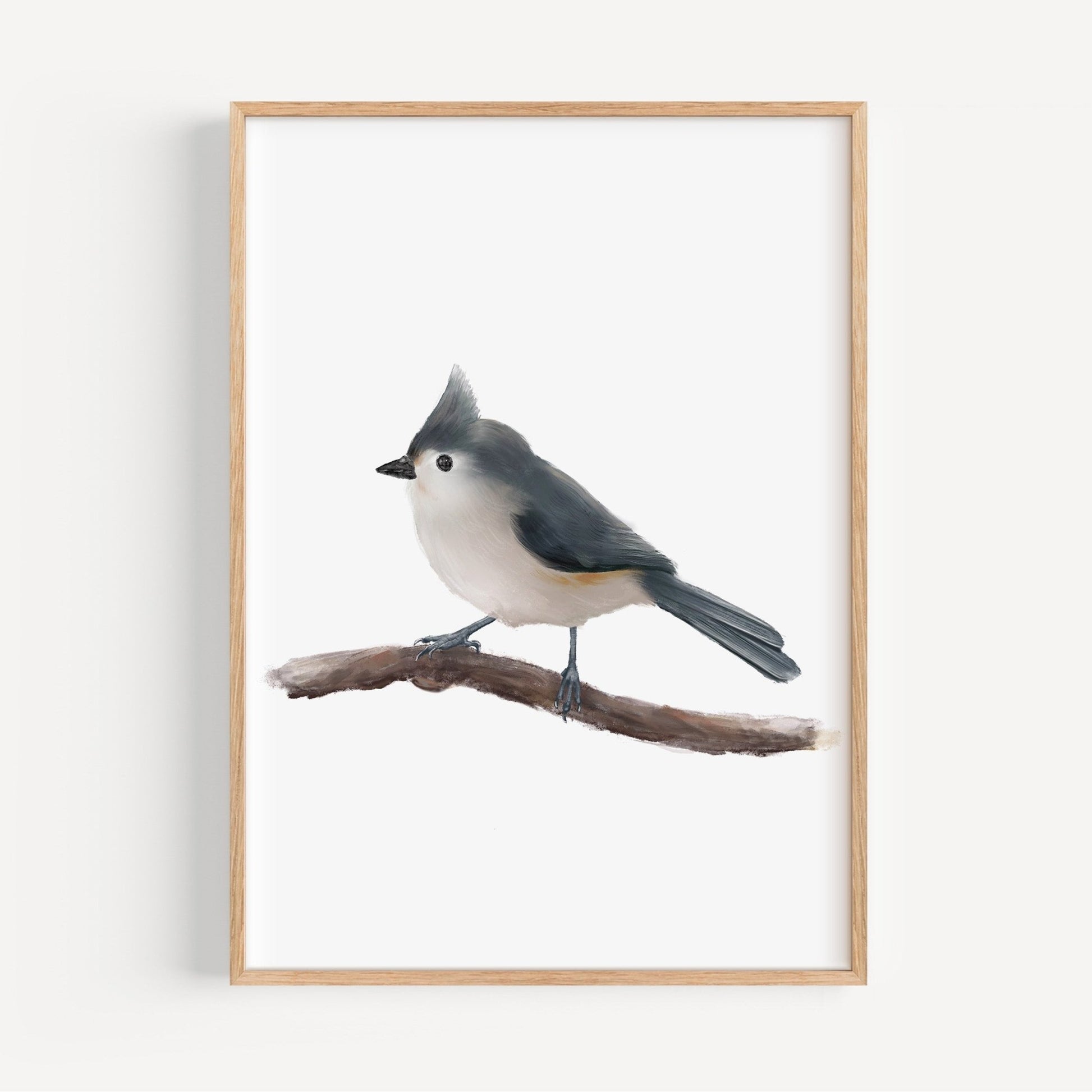 Original Tufted Titmouse Bird Print - MerikaArt