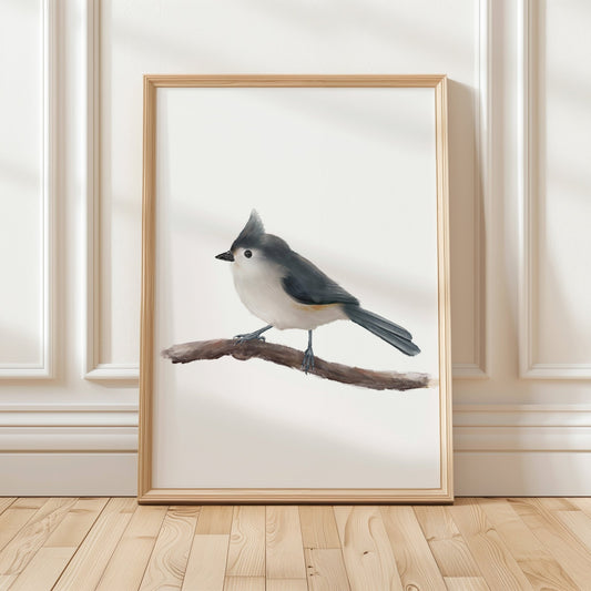 Original Tufted Titmouse Bird Print - MerikaArt