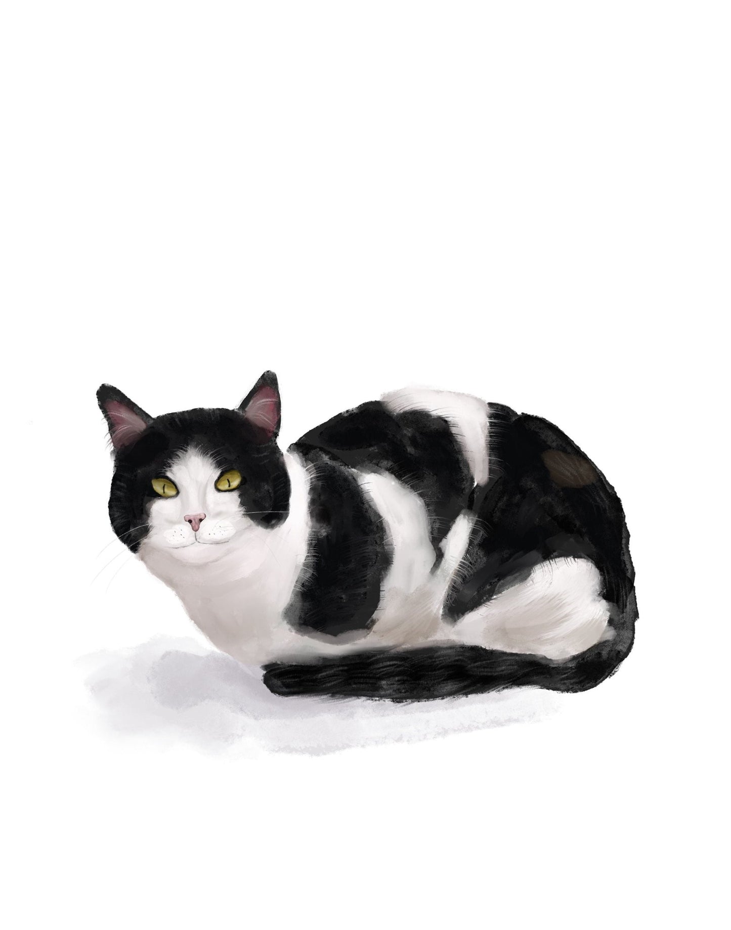 Original Tuxedo Black and White Cat Print - MerikaArt