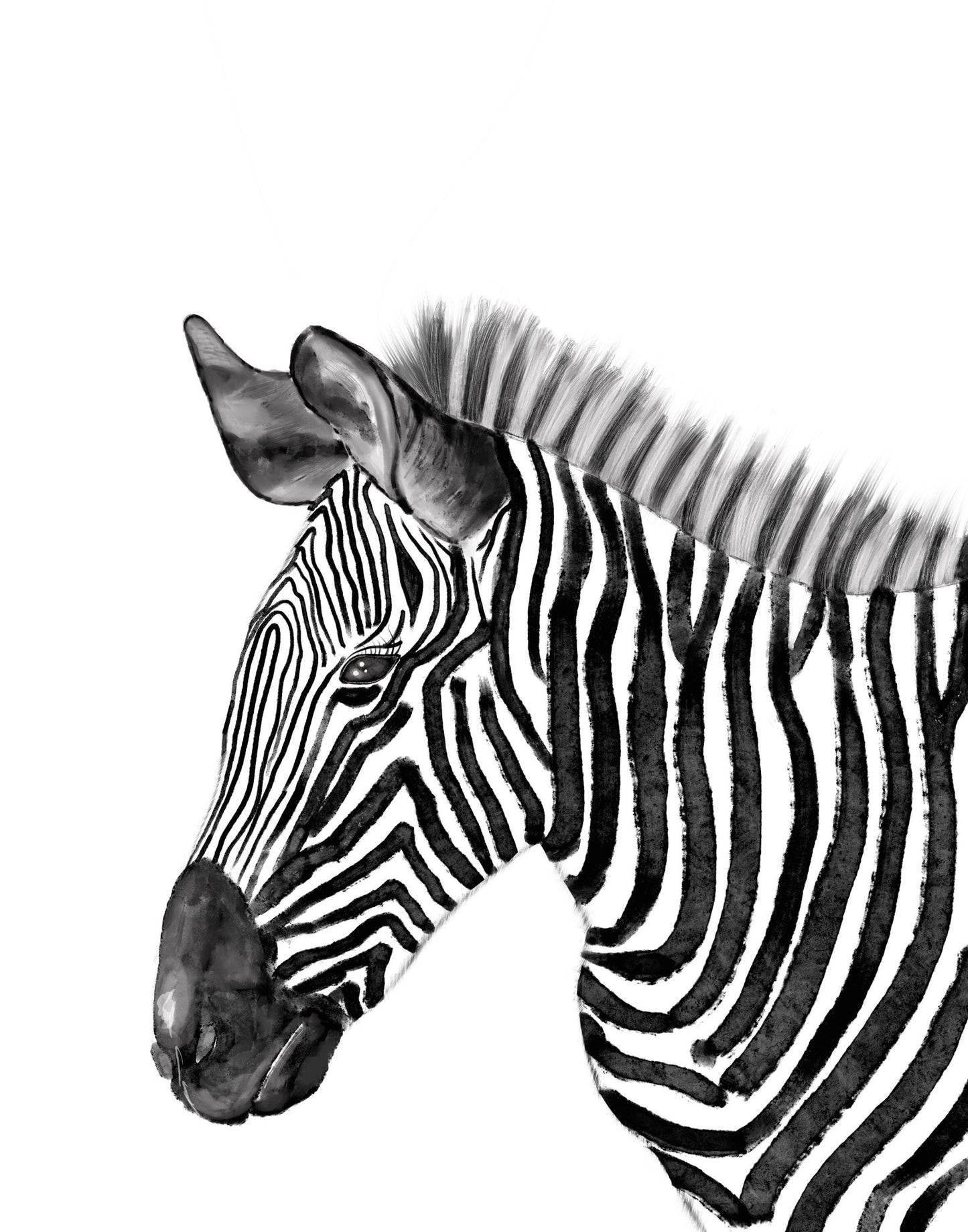 Original Zebra Print - MerikaArt