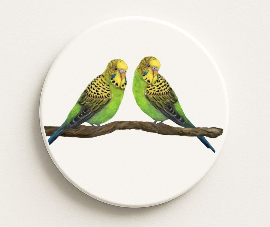 Pair of Budgerigars Ceramic Coaster - MerikaArt