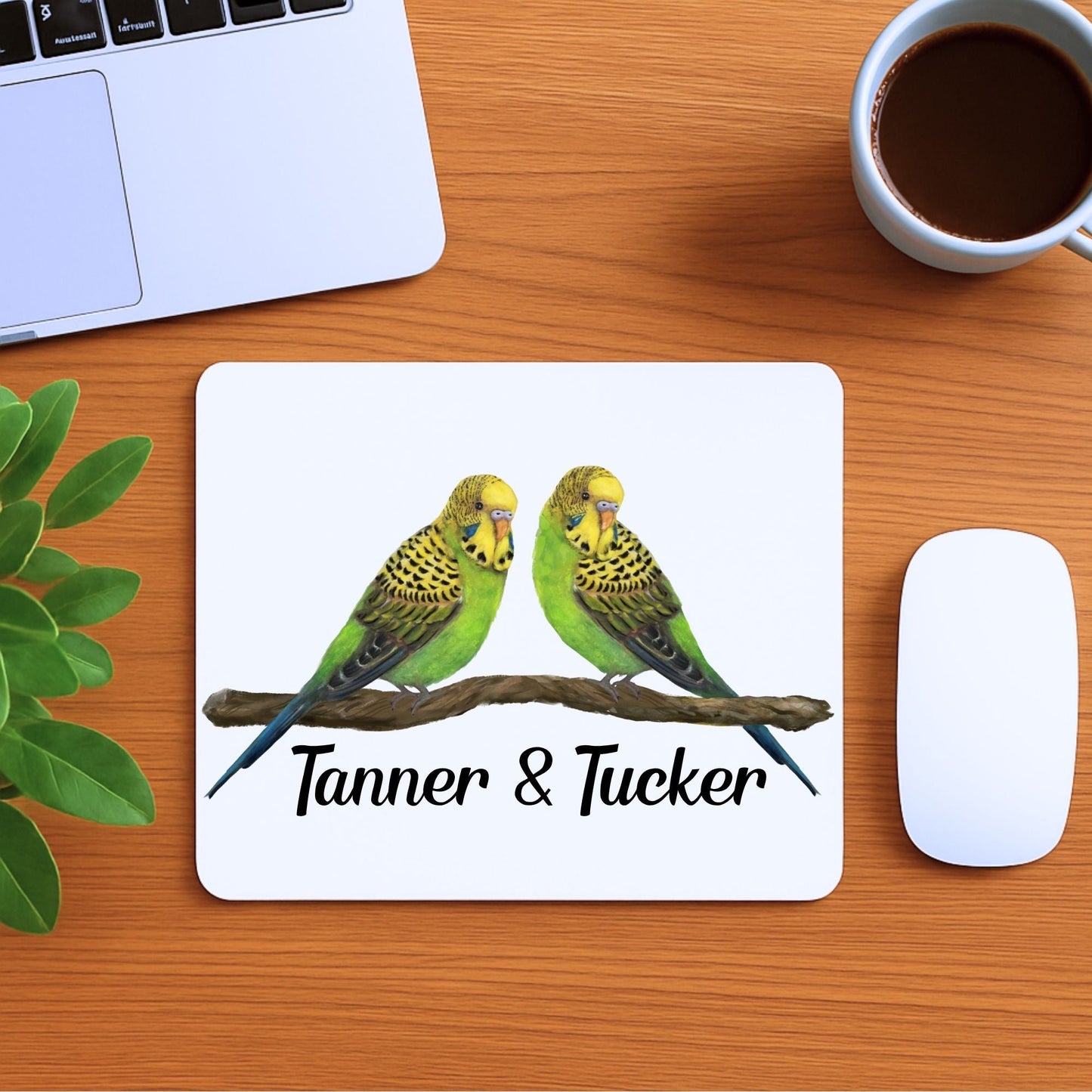 Pair of Budgerigars Mousepad - MerikaArt