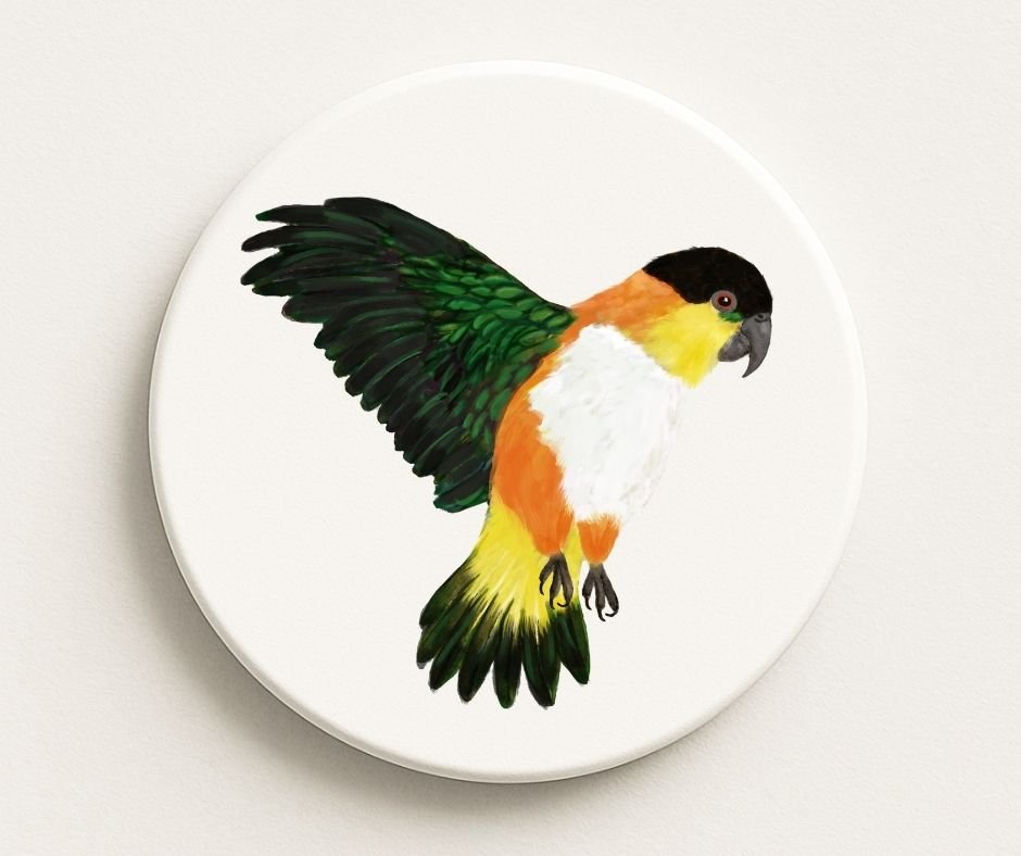 Parrot Ceramic Coaster - MerikaArt