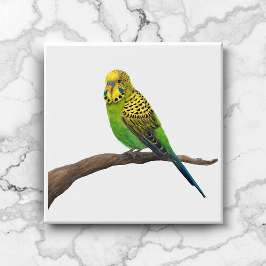 Perched Green Budgerigar Ceramic Tile – Handcrafted Bird Artwork - MerikaArt