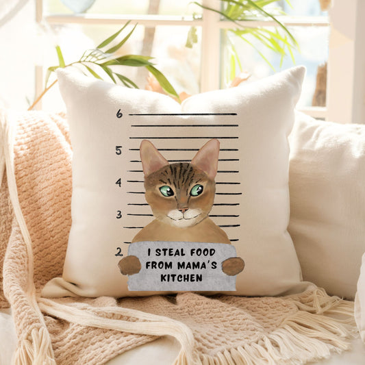 Personalized Abyssinian Cat Pillow - MerikaArt