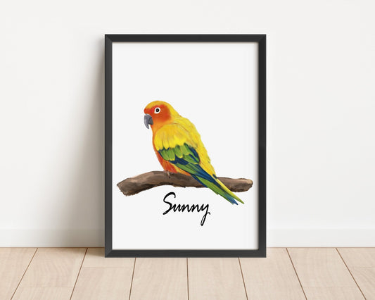 Personalized Sun Conure Wall Art Print – Sun Parakeet Parrot Illustration for Bird Lovers - MerikaArt