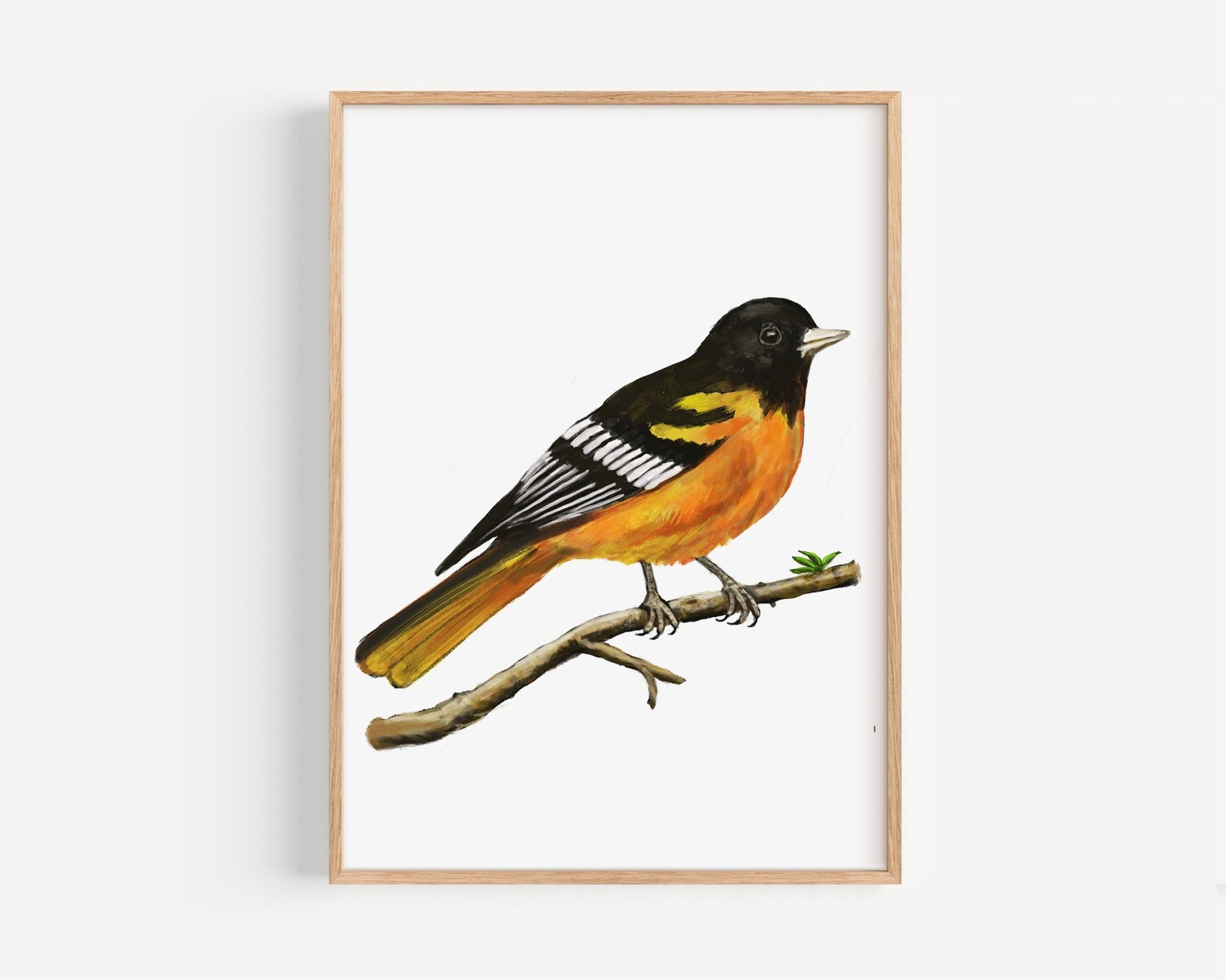 Personalized White - bellied Caique Wall Art Print – Colorful Parrot Illustration for Pet Bird Lovers - MerikaArt