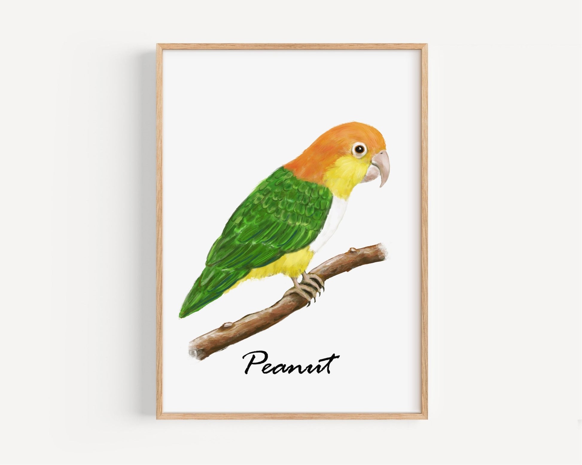 Personalized White - bellied Caique Wall Art Print – Colorful Parrot Illustration for Pet Bird Lovers - MerikaArt