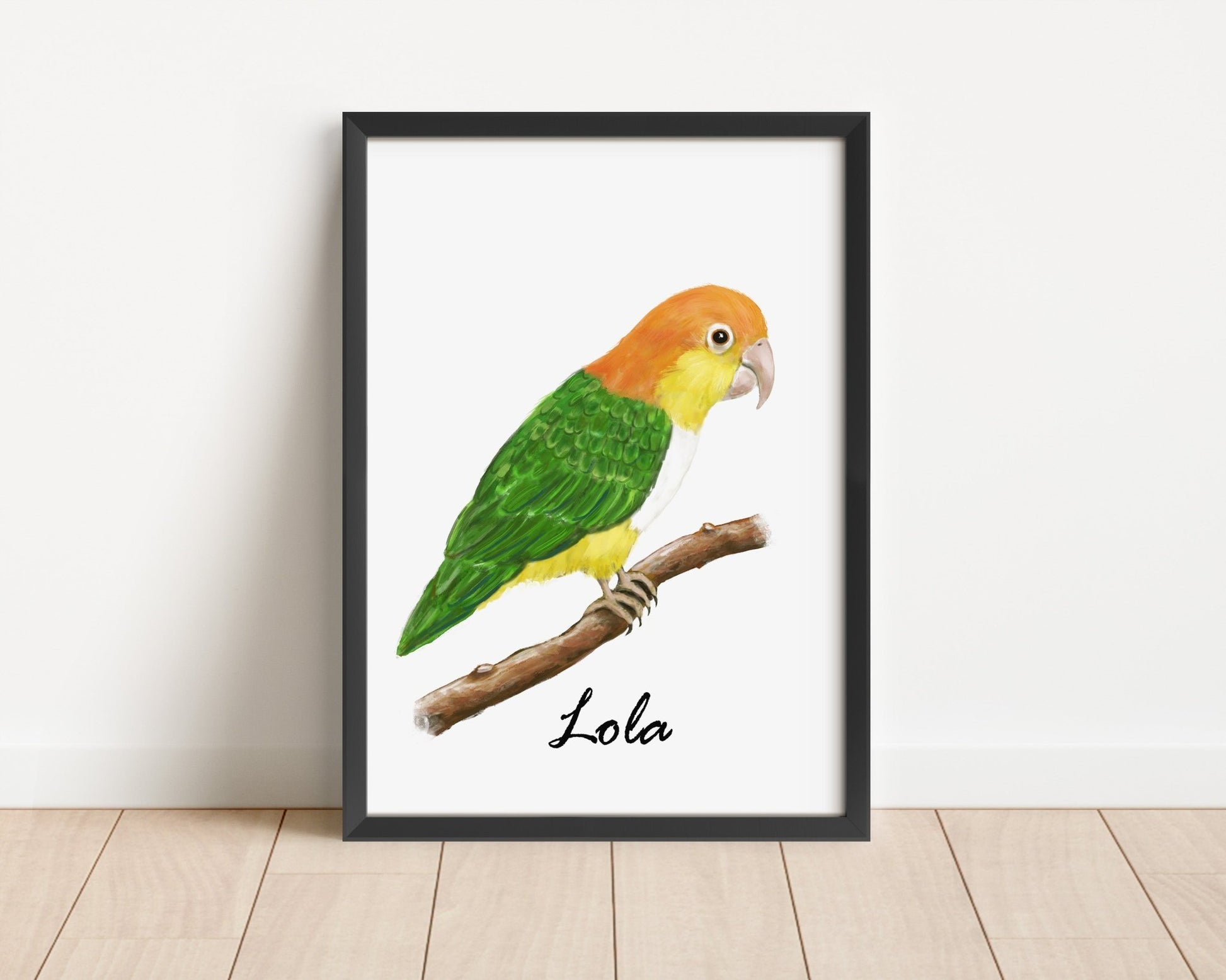 Personalized White - bellied Caique Wall Art Print – Colorful Parrot Illustration for Pet Bird Lovers - MerikaArt