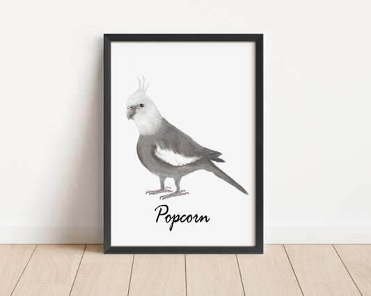 Personalized White - Faced Cockatiel Wall Art Print – Minimalist Parrot Illustration for Bird Lovers - MerikaArt