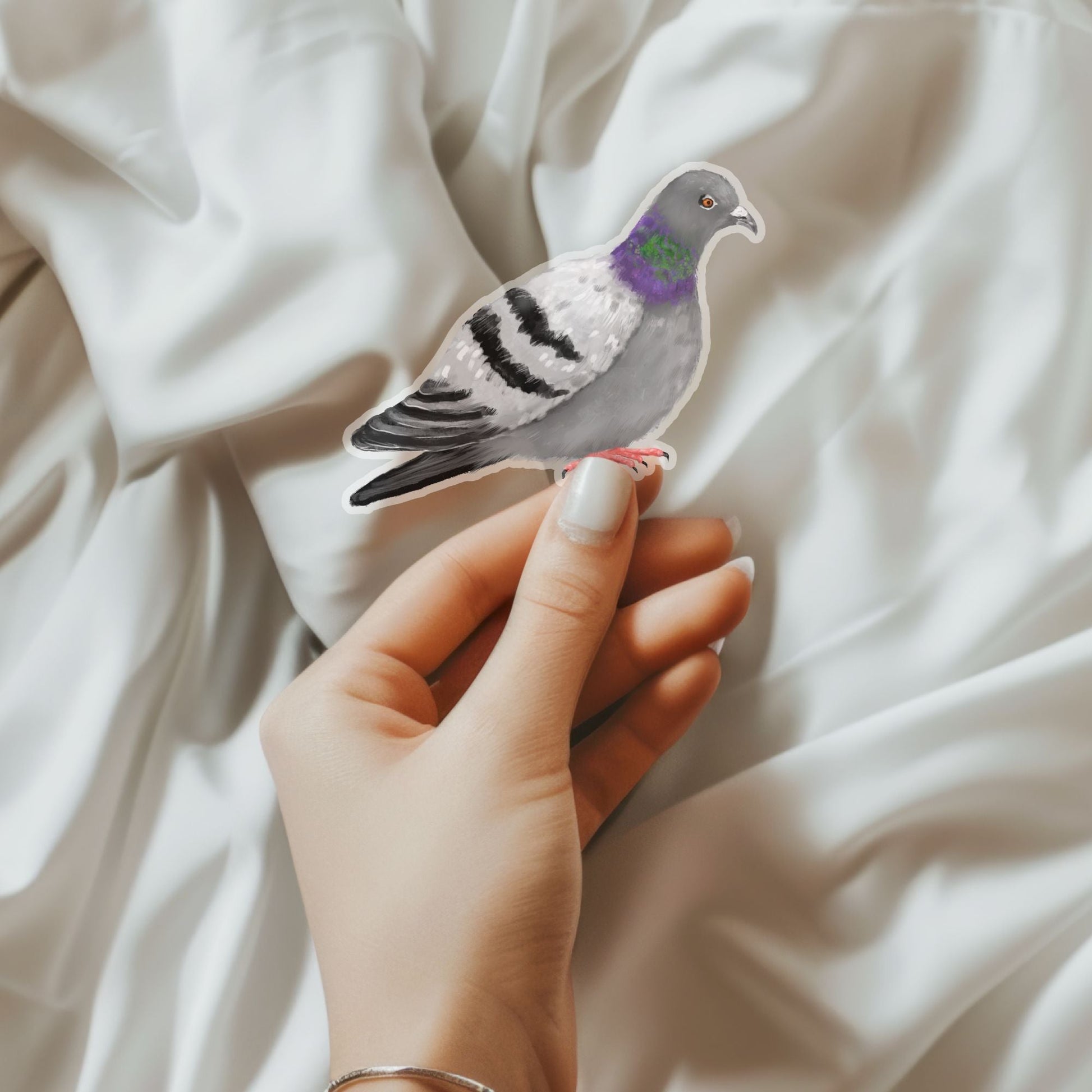 Pigeon Sticker - MerikaArt