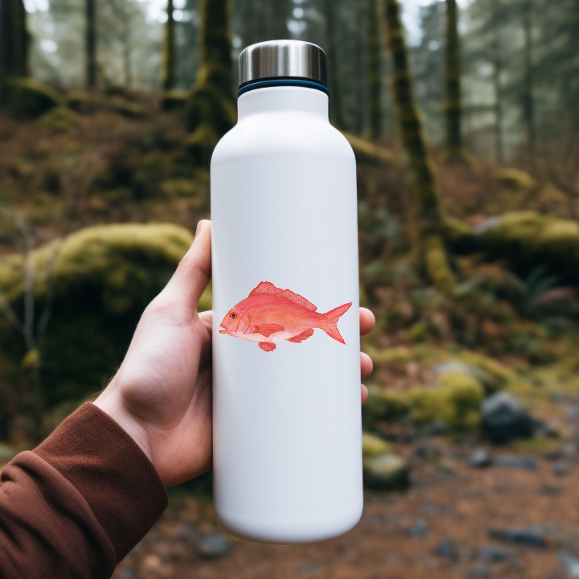 Pink Snapper Vinyl Sticker - MerikaArt