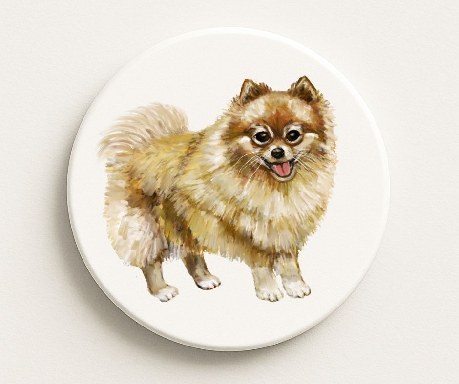 Pomeranian Ceramic Coaster - MerikaArt