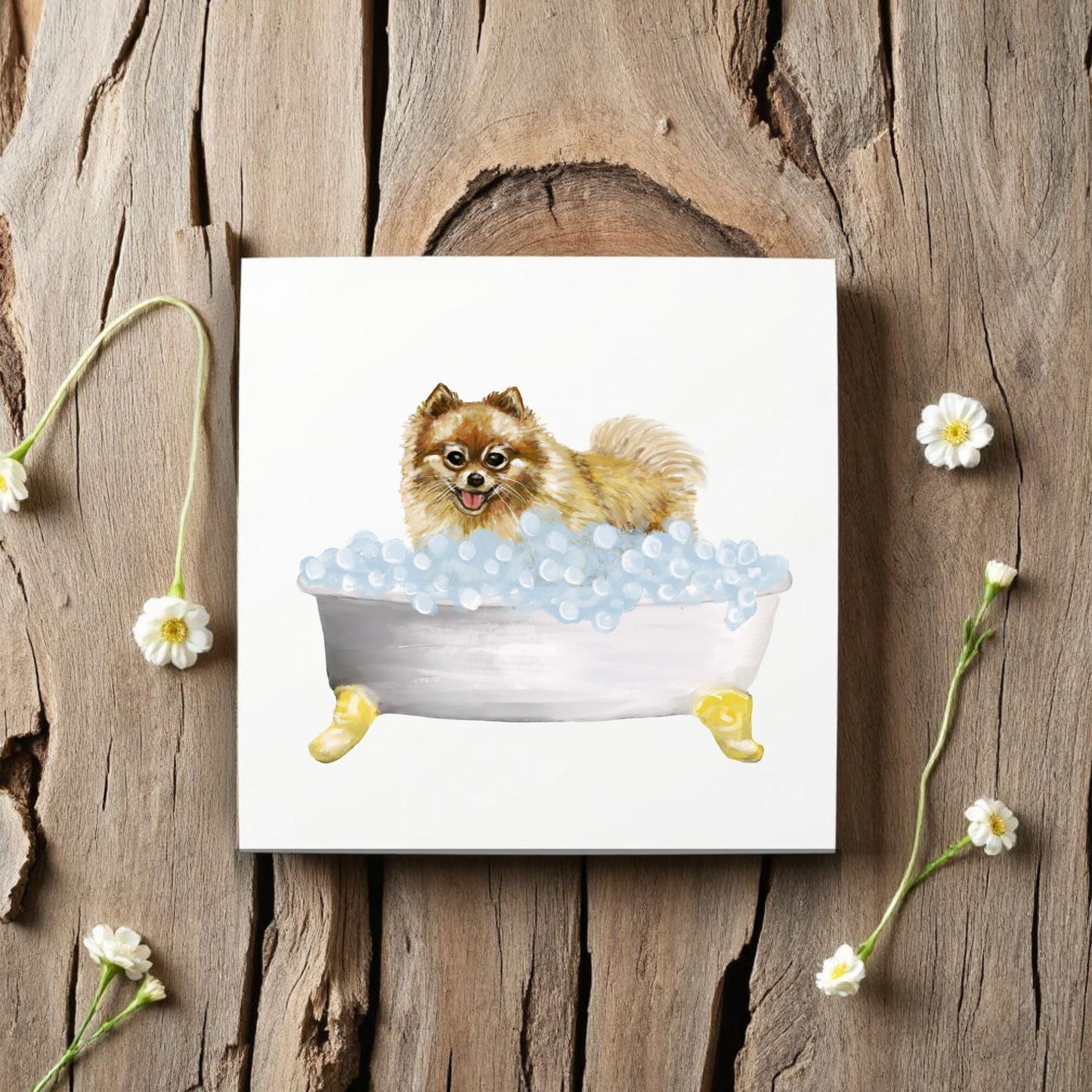 Pomeranian Ceramic Tile - MerikaArt