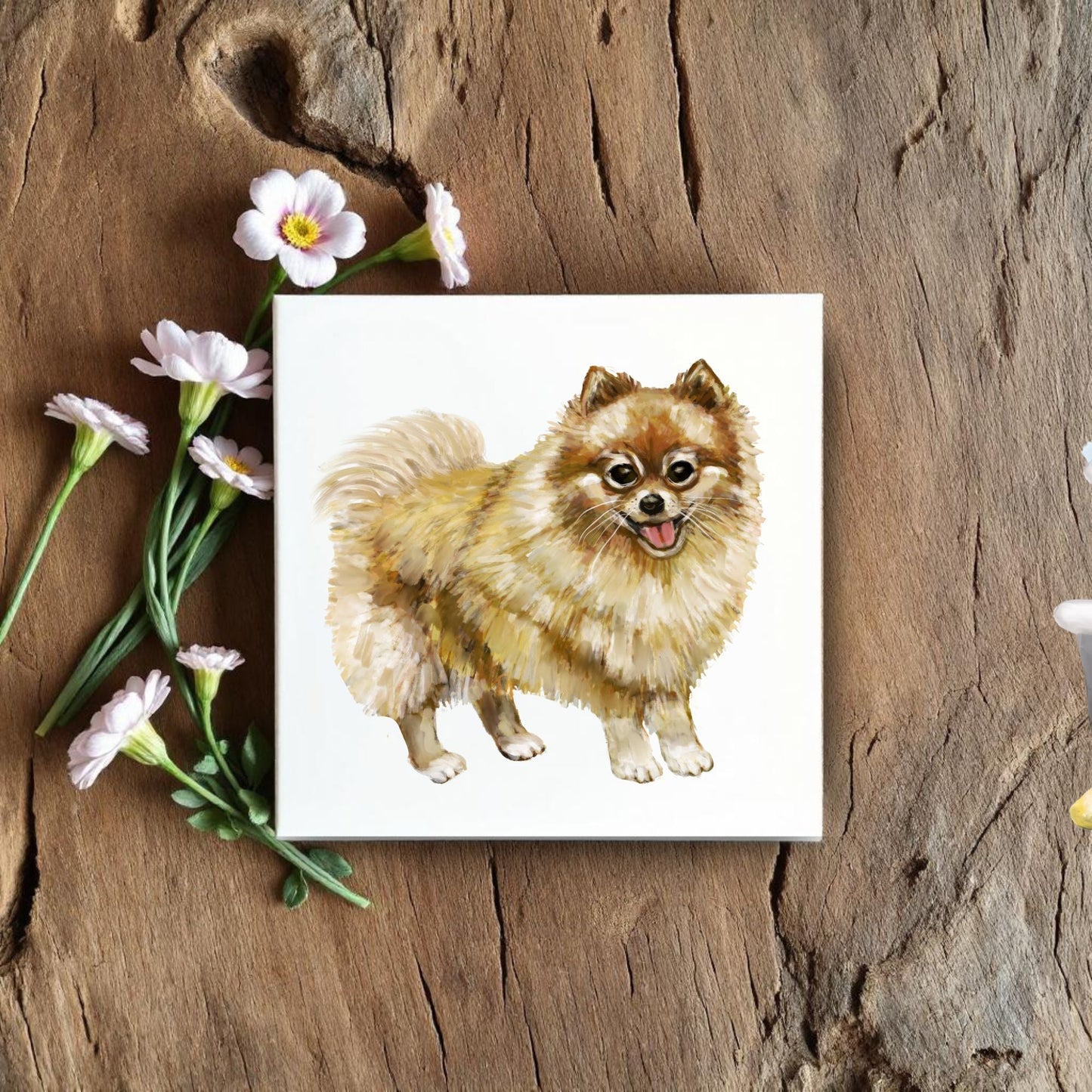 Pomeranian Dog Ceramic Tile - MerikaArt