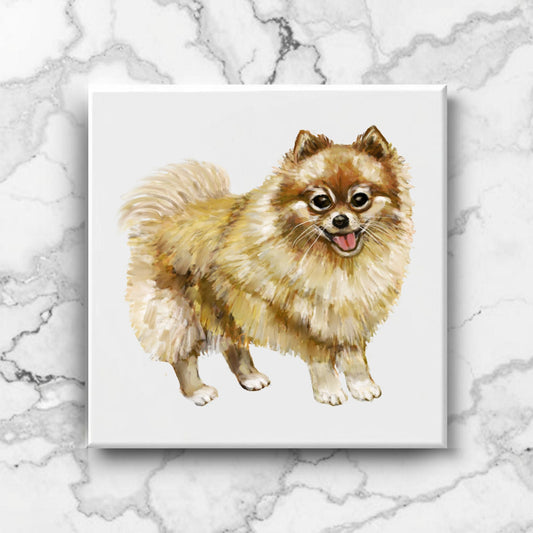 Pomeranian Dog Ceramic Tile - MerikaArt