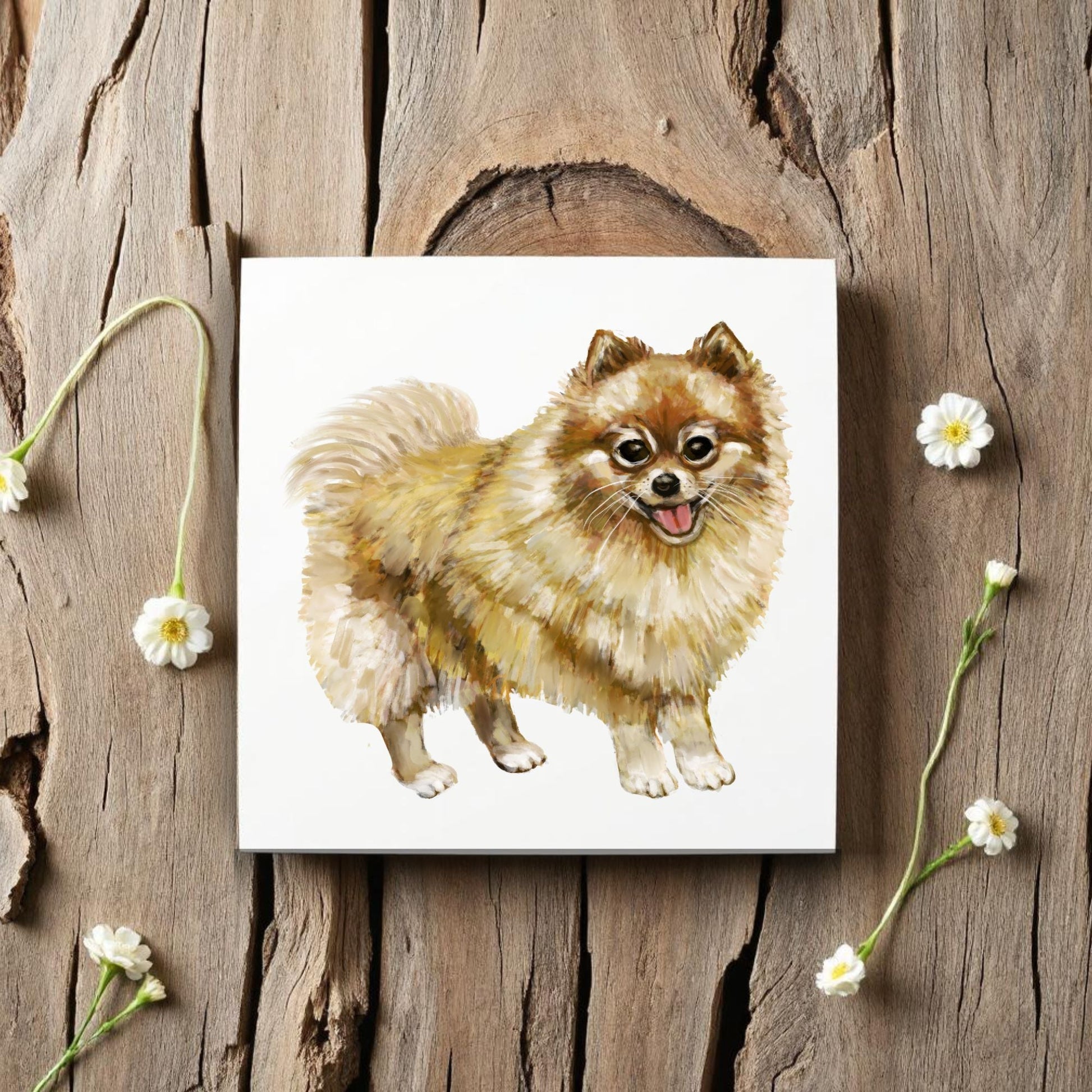 Pomeranian Dog Ceramic Tile - MerikaArt