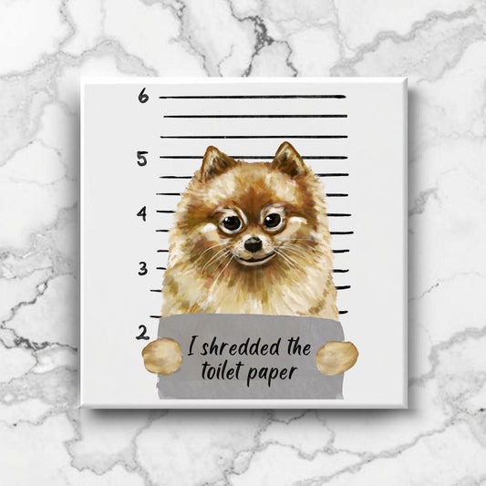 Pomeranian Mugshot Ceramic Tile - MerikaArt