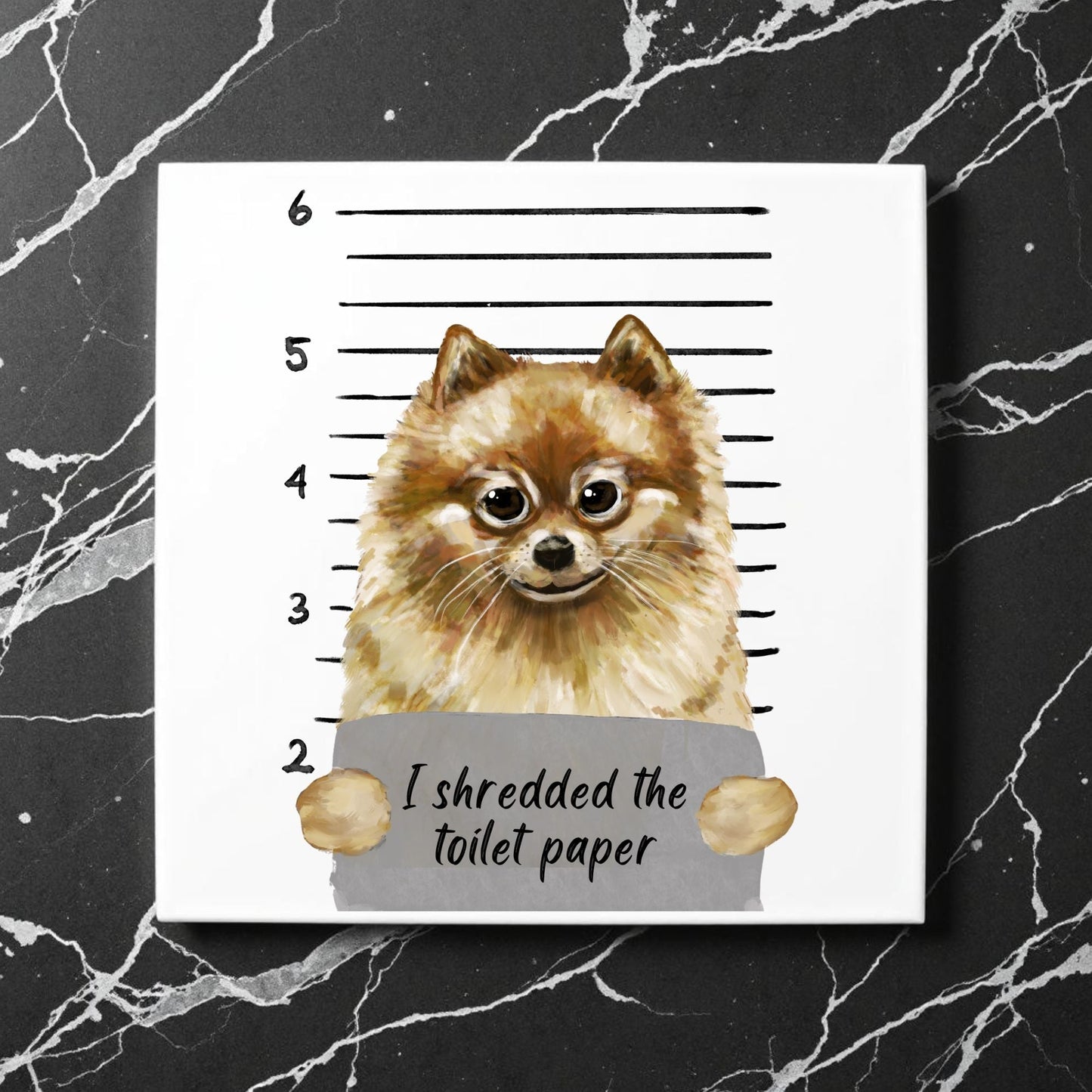 Pomeranian Mugshot Ceramic Tile - MerikaArt