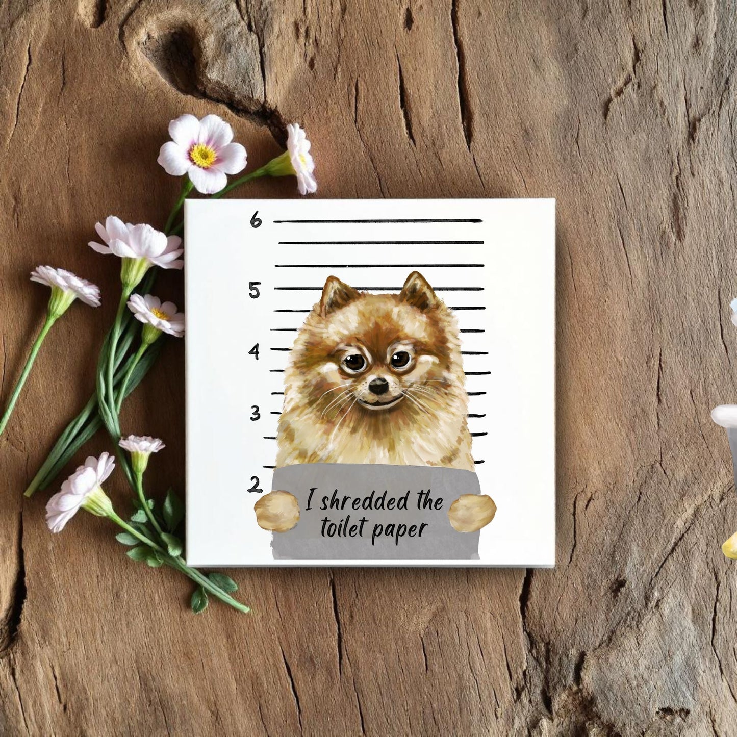 Pomeranian Mugshot Ceramic Tile - MerikaArt