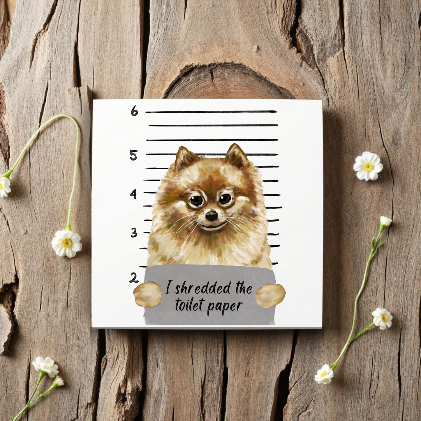Pomeranian Mugshot Ceramic Tile - MerikaArt
