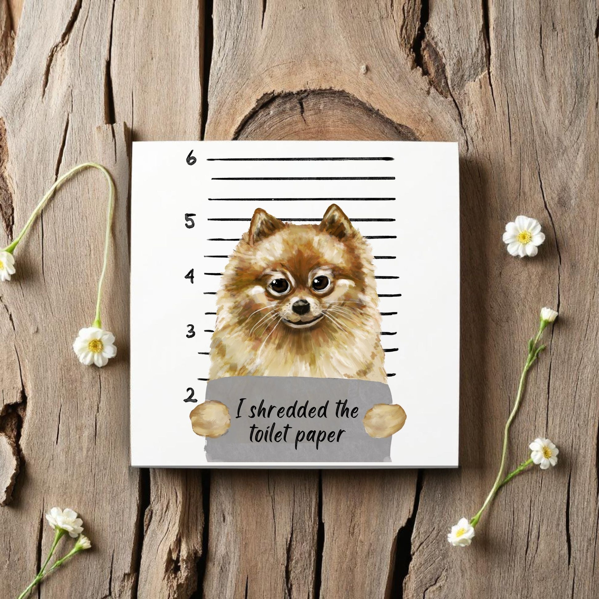 Pomeranian Mugshot Ceramic Tile - MerikaArt