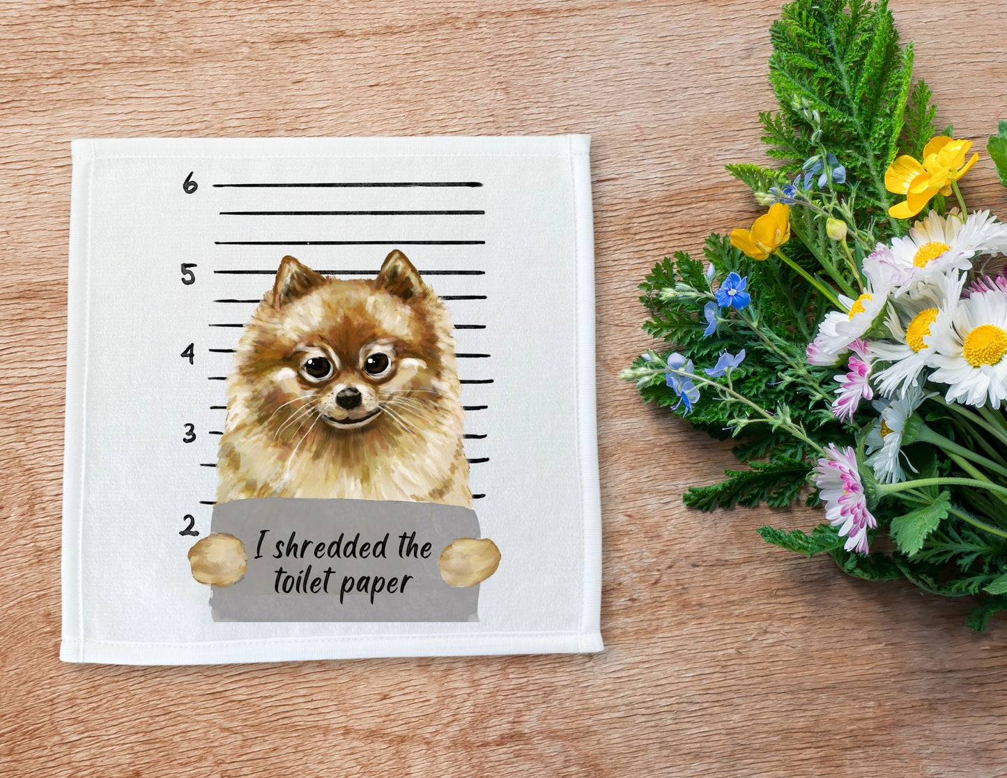 Pomeranian Mugshot Washcloth - MerikaArt