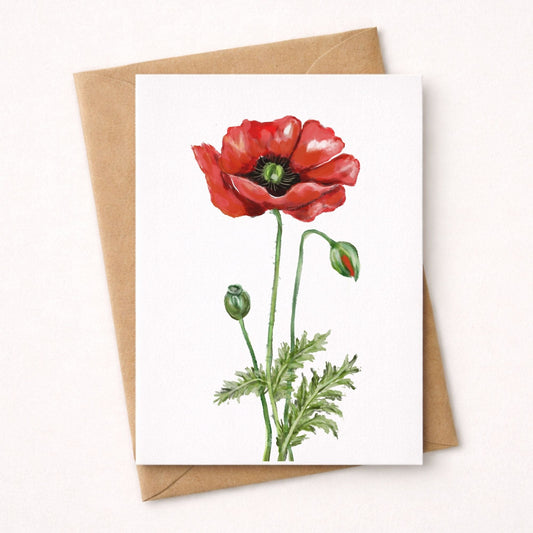 Poppy Postcard - MerikaArt