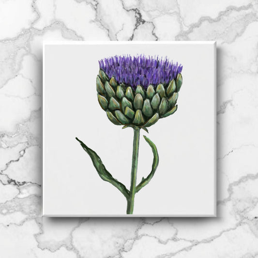 Purple Artichoke Flower Ceramic Tile - MerikaArt