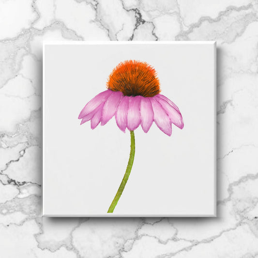 Purple Coneflower Ceramic Tile - MerikaArt