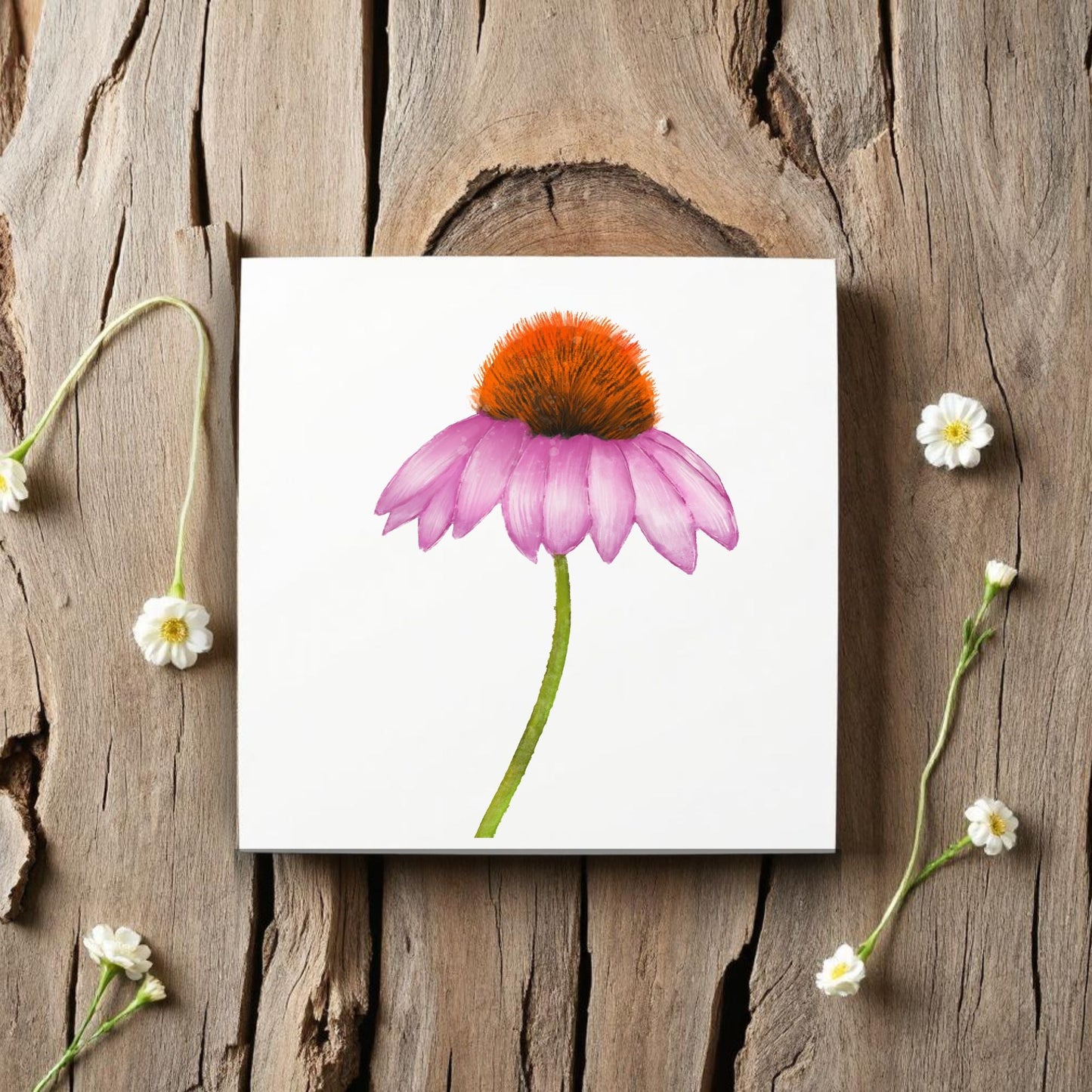 Purple Coneflower Ceramic Tile - MerikaArt