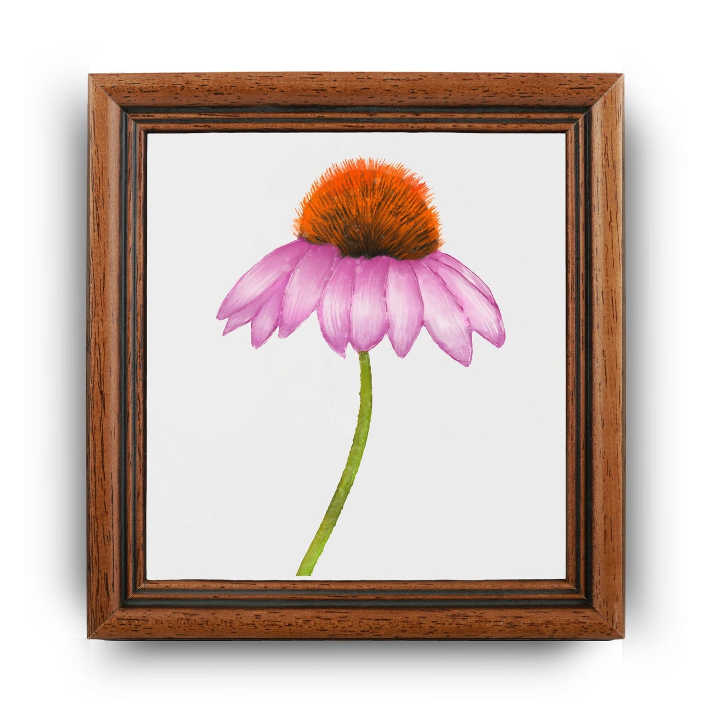 Purple Coneflower Ceramic Tile - MerikaArt
