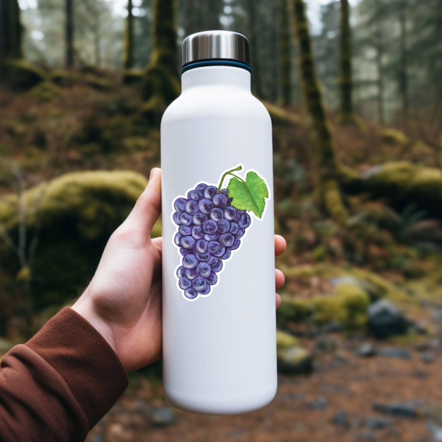 Purple Grapes Vinyl Sticker - MerikaArt