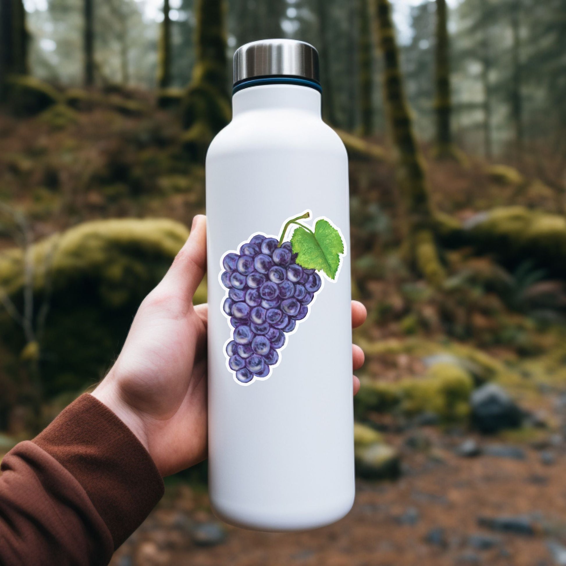 Purple Grapes Vinyl Sticker - MerikaArt