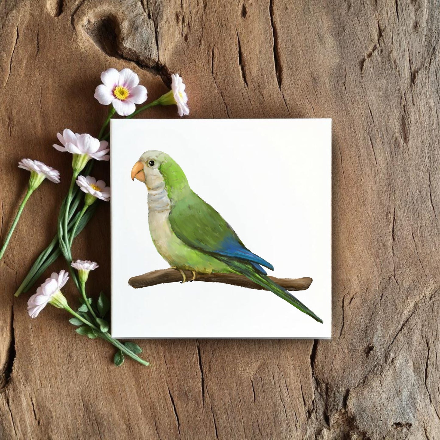 Quaker Parrot Ceramic Tile – Handcrafted Bird Lover Artwork - MerikaArt