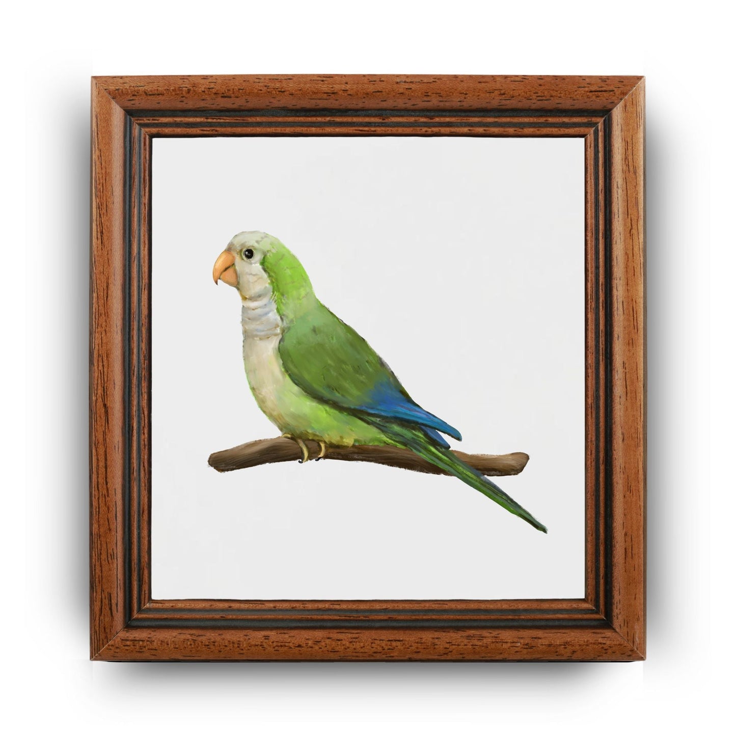 Quaker Parrot Ceramic Tile – Handcrafted Bird Lover Artwork - MerikaArt