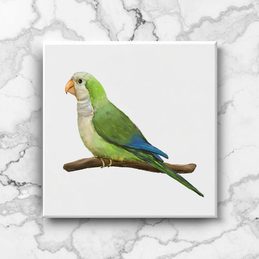 Quaker Parrot Ceramic Tile – Handcrafted Bird Lover Artwork - MerikaArt