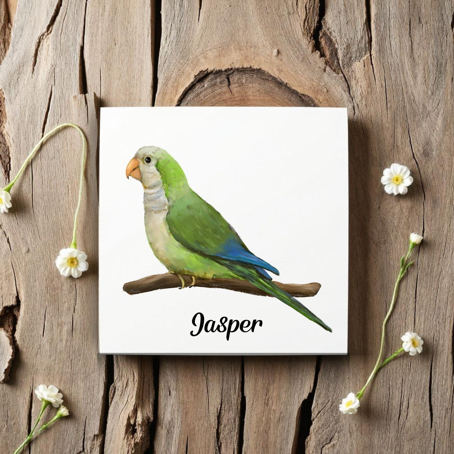 Quaker Parrot Ceramic Tile – Handcrafted Bird Lover Artwork - MerikaArt