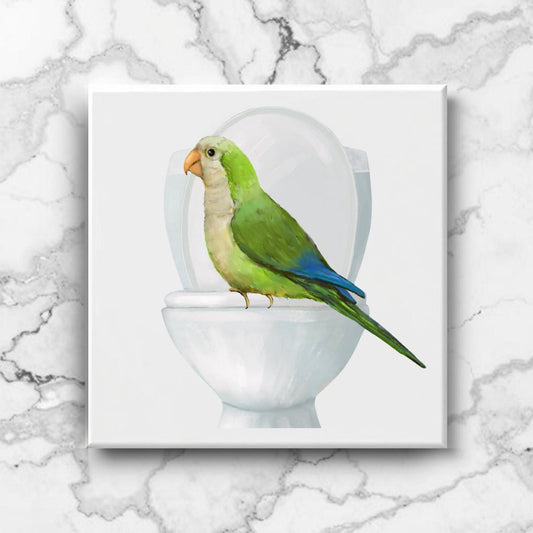 Quaker Parrot on Toilet Ceramic Tile – Handcrafted Whimsical Decor - MerikaArt